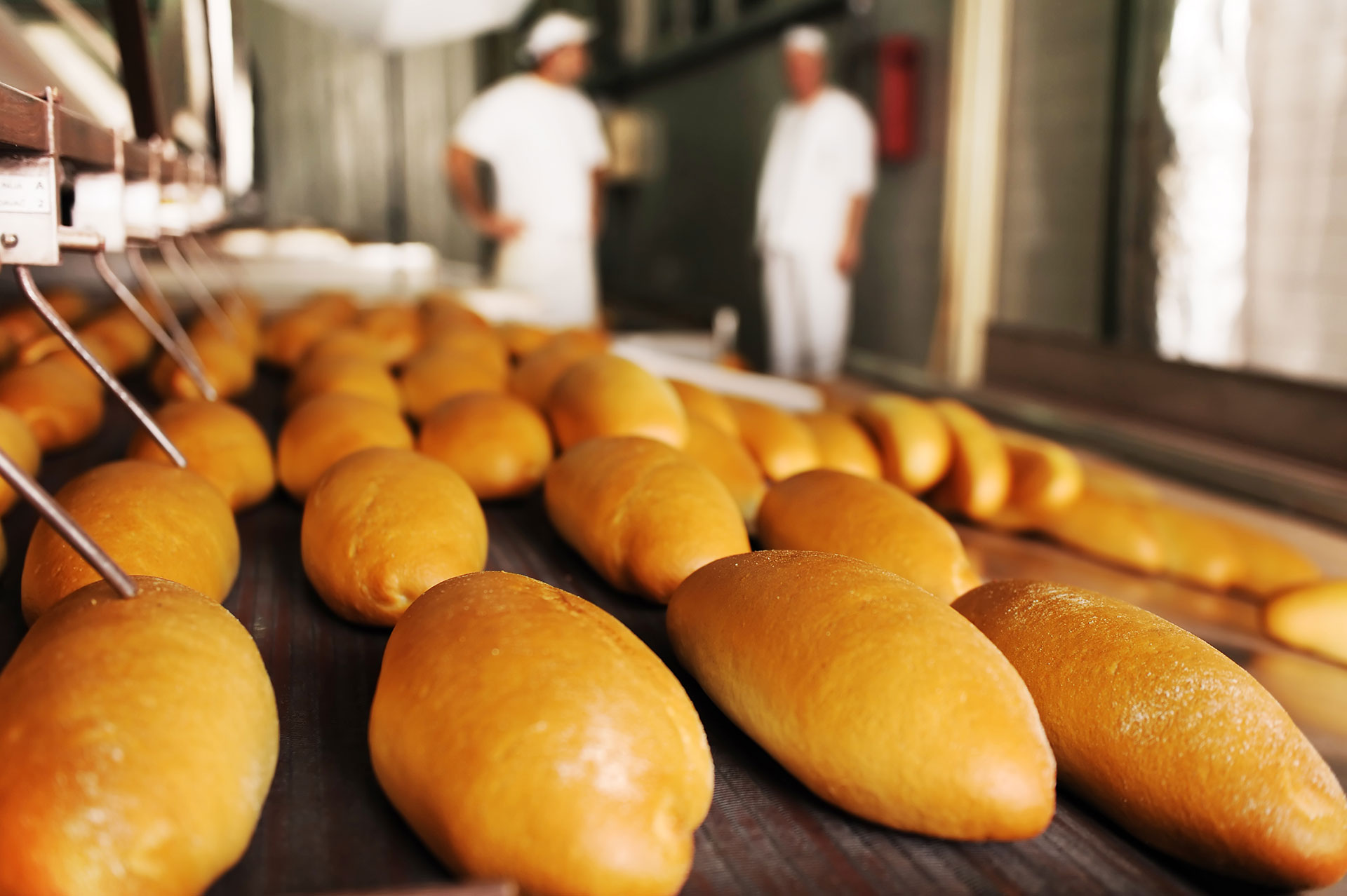 ενίσχυση νέων επιχειρήσεων αρτοποιεία